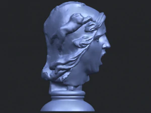 bust of shock 3D Print Model
