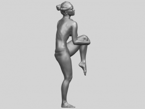 naked girl j01 3D 打印模型