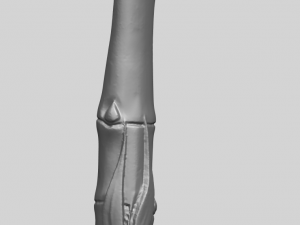 vertical bamboo flute 3Dプリントモデル