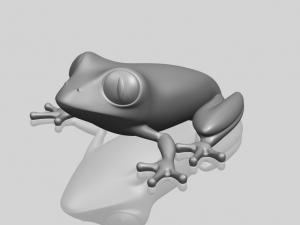 frog 3D Print Model