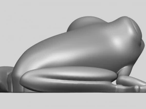 frog 3D Print Model