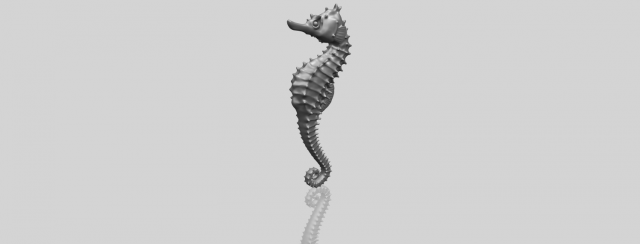 hippocampus sea horse 01 Model Cetak 3D .c4d .max .obj .3ds .fbx .stl .blend 
