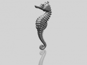 hippocampus sea horse 01 3D Print Model