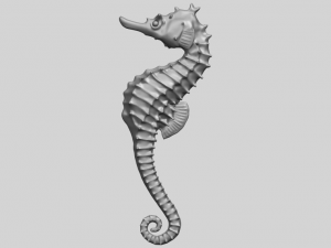 hippocampus sea horse 01 Model Cetak 3D
