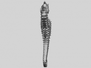 hippocampus sea horse 01 Model Cetak 3D