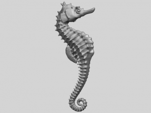 hippocampus sea horse 01 Model Cetak 3D
