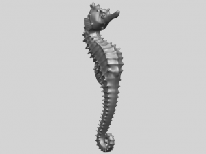 hippocampus sea horse 01 Model Cetak 3D