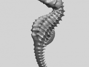 hippocampus sea horse 01 Model Cetak 3D