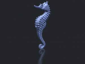 hippocampus sea horse 01 Model Cetak 3D