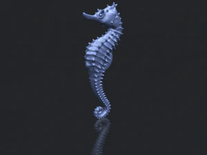 hippocampus sea horse 01 3D Print Model