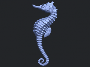 hippocampus sea horse 01 Model Cetak 3D