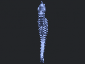 hippocampus sea horse 01 Model Cetak 3D