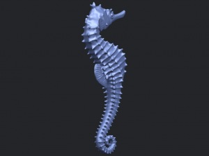 hippocampus sea horse 01 Model Cetak 3D