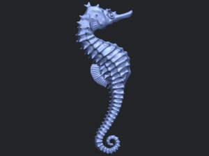 hippocampus sea horse 01 Model Cetak 3D