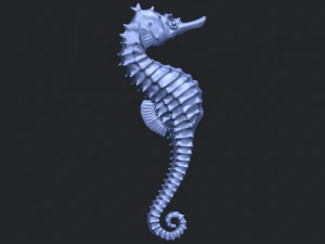 hippocampus sea horse 01 3D Print Model