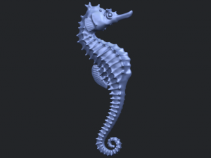hippocampus sea horse 01 Model Cetak 3D
