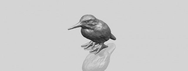 kingfisher 3D Baskı Modeli .c4d .max .obj .3ds .fbx .stl .blend 