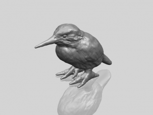 kingfisher 3Dプリントモデル