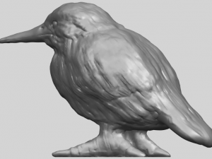 kingfisher 3D Baskı Modeli