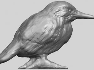 kingfisher 3D Baskı Modeli