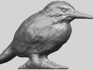 kingfisher 3D Baskı Modeli