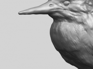 kingfisher 3D Baskı Modeli