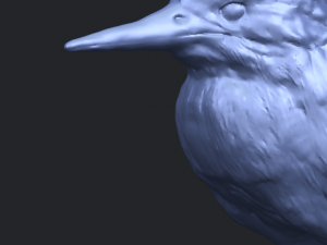 kingfisher 3D Baskı Modeli
