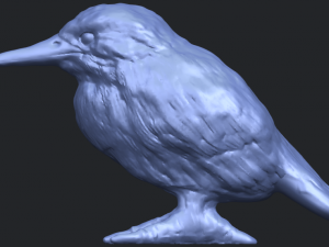 kingfisher 3D Baskı Modeli