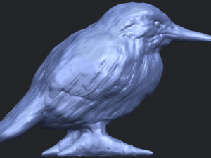 kingfisher 3D Baskı Modeli