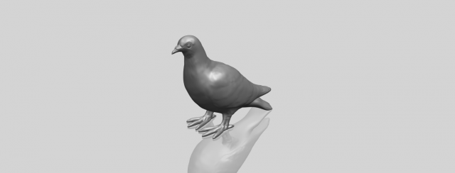 sparrow 02 Modelo de impresión 3D .c4d .max .obj .3ds .fbx .stl .blend 