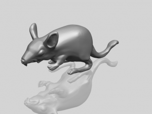 rat 01 3D Print Model