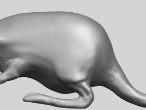 rat 01 3D Print Model