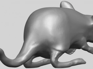 rat 01 3D Print Model