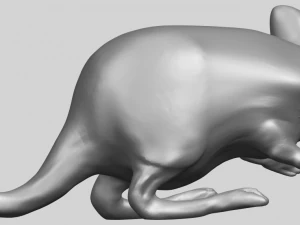 rat 01 3D Print Model
