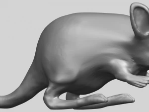 rat 01 3D Print Model