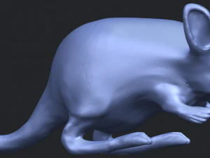 rat 01 3D Print Model