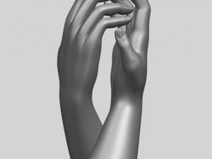 manos 02 Modelo de impresión 3D