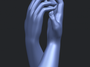 hands 02 3D Print Model