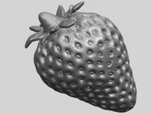 aardbei 01 3D printmodel
