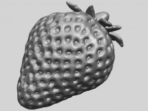 aardbei 01 3D printmodel