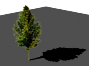 &aacute;rvore de m&aacute;scara Modelo 3D