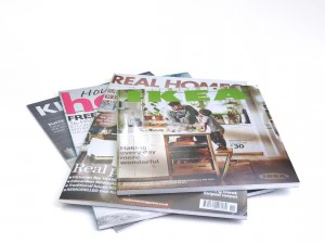 잡지 낮은 폴리 3D 모델