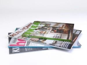 magazines low poly 3D Model