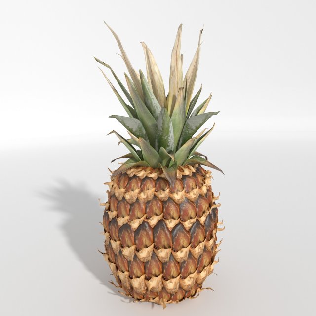 realistic pineapple 3D Model .c4d .max .obj .3ds .fbx .stl .blend 
