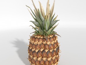 realistic pineapple 3D Model