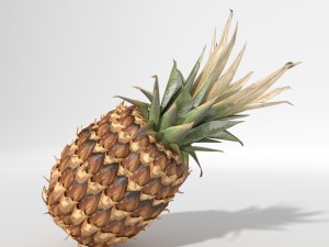realistic pineapple 3D Model
