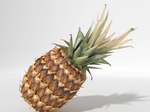 realistyczny ananas Model 3D