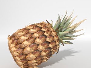 realistic pineapple 3D Model