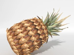 realistyczny ananas Model 3D