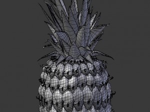 realistic pineapple 3D Model